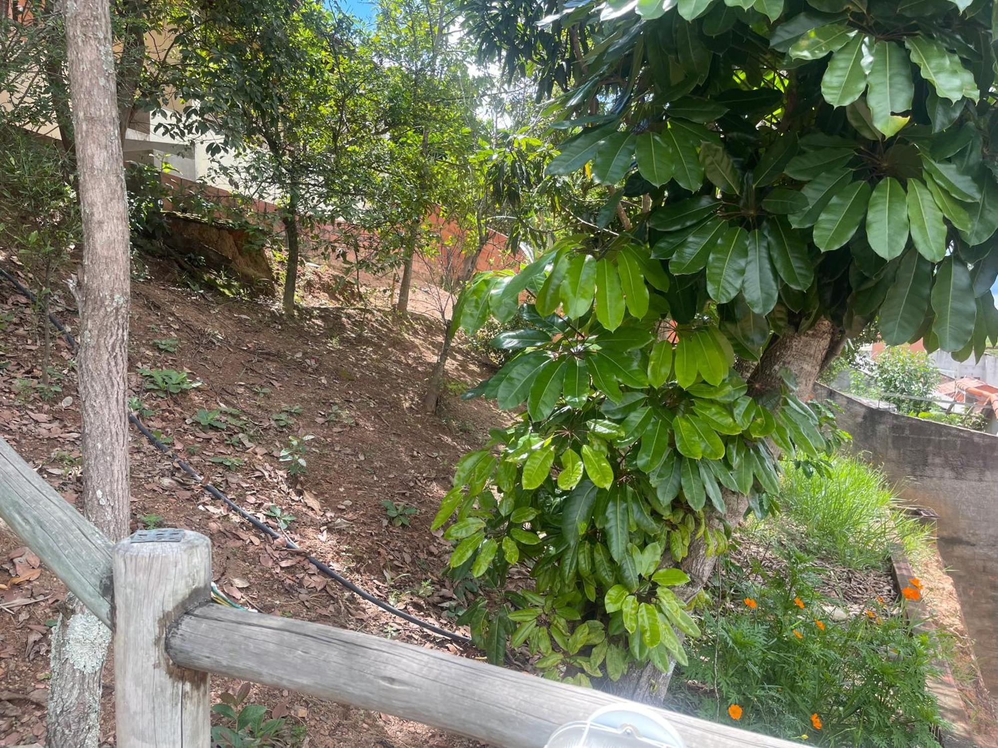 Chales Do Lago Cunha Exterior foto